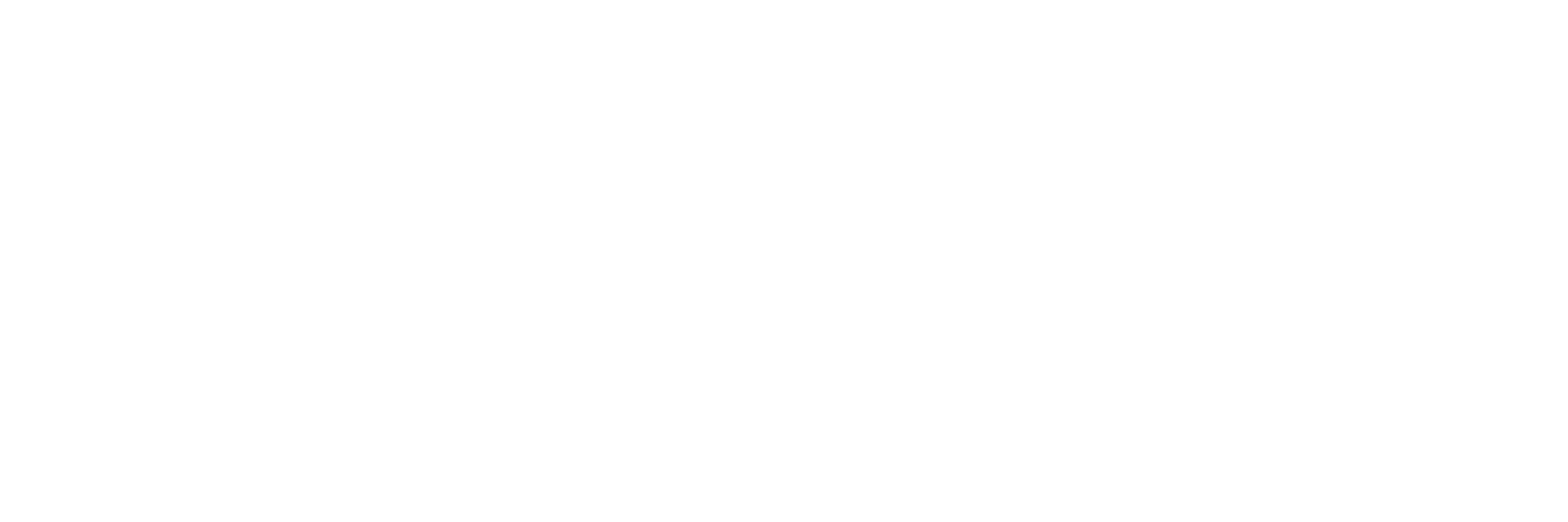 Computer Strategy Logo